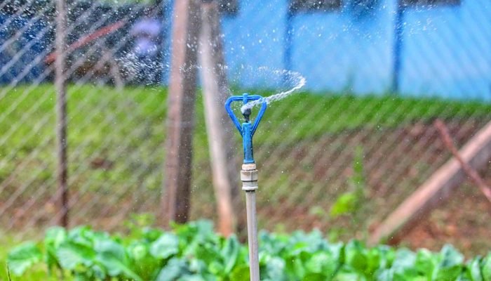 Foto: Foto: Masrcos Maluf