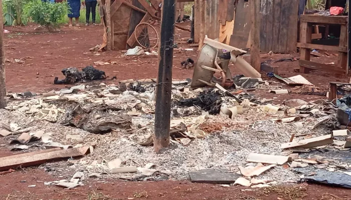 Moradia ficou destruída pelo fogo (Foto: Reprodução Leandro Holsbac)