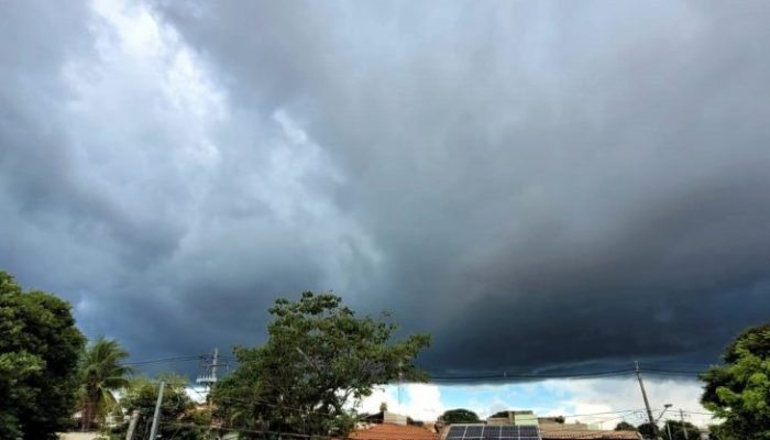 Foto-Saul-Schramm-5-730x480-1