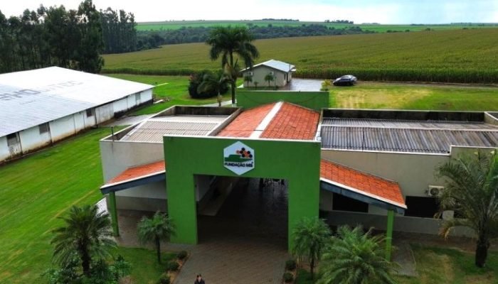 Fundacao-MS-Foto-Saul-Schramm-730x480-1