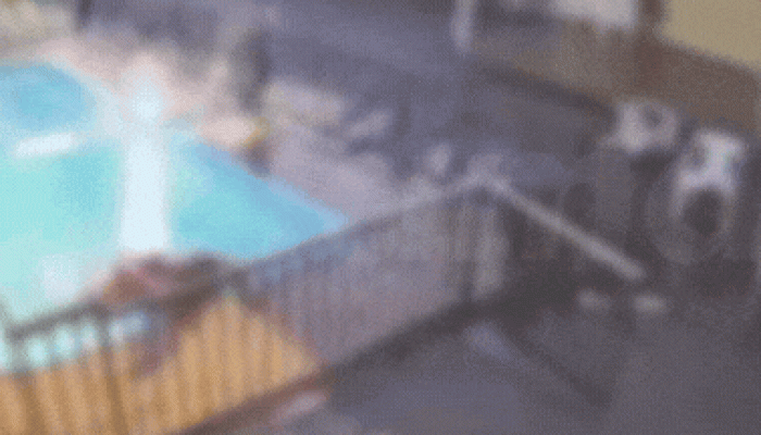 GIF-homicidio-taruma-ok