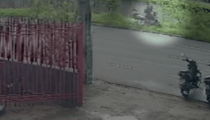 GIF-momento-que-professor-cai-no-corrego
