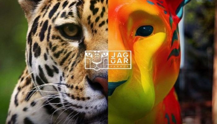 Feature image — Foto: Feature image