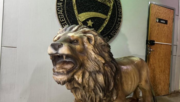 Leão foi furtado na fachada de lanchonete. (Foto: Henrique Arakaki, Midiamax)