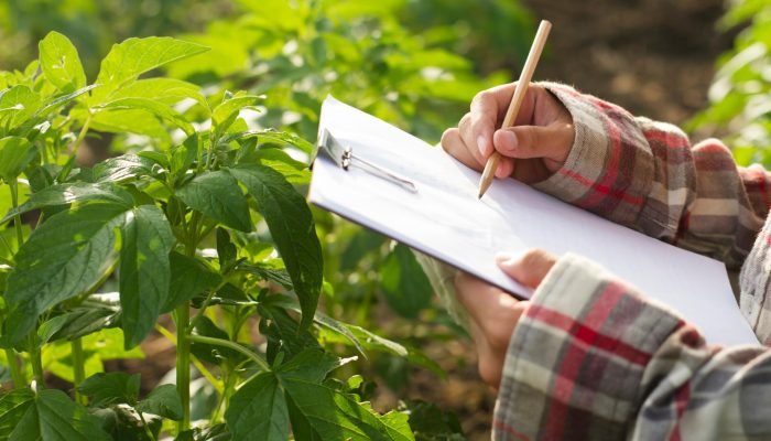 Cursos atendem demandas do agronegócio (Foto: Canva, reprodução).