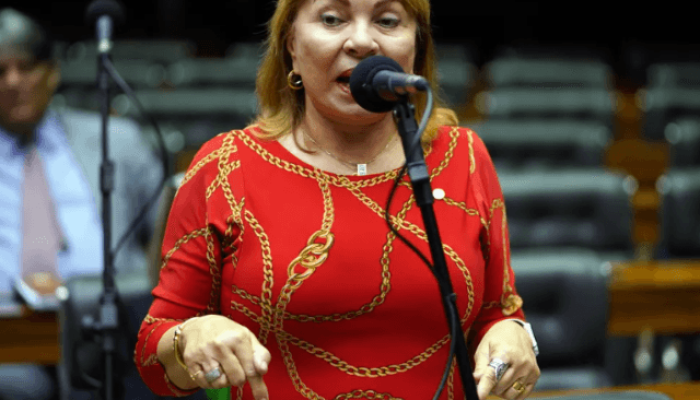 Deputada Maria Gorete Pereira — Foto: Deputada Maria Gorete Pereira | Pablo Vala