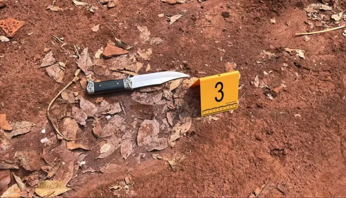 Homem é preso após assassinar esposa a facadas em Paranaíba