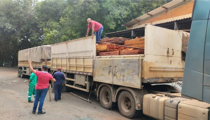 A carga tinha cerca de 50 metros cúbicos de madeira vinda da Amazônia — Foto: Ca