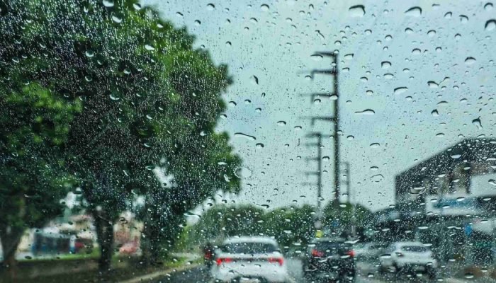 Novo-Projeto-2024-10-11T091306.950