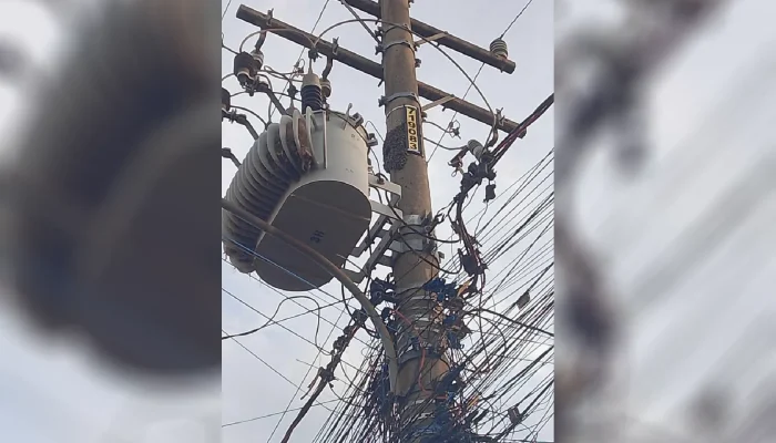 Enxame de abelhas em poste preocupa moradora no Jardim Colúmbia — Foto: Enxame p