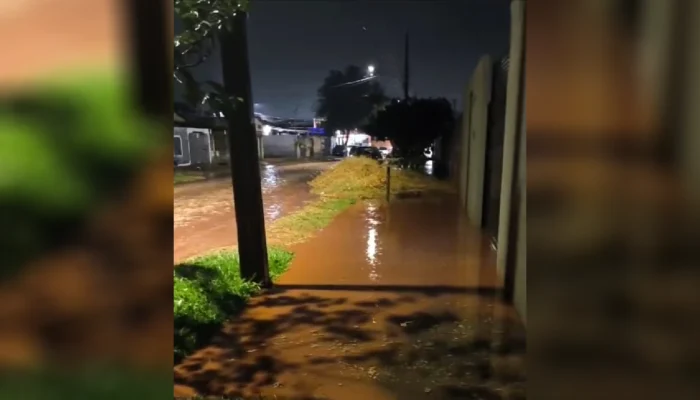 Novo-Projeto-75