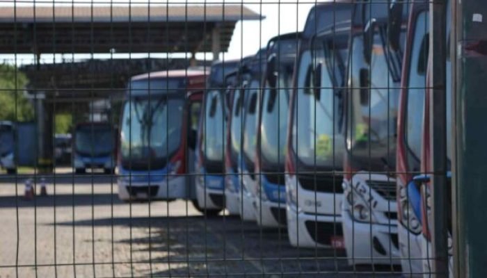 Onibus_Foto-Madu-Livramento