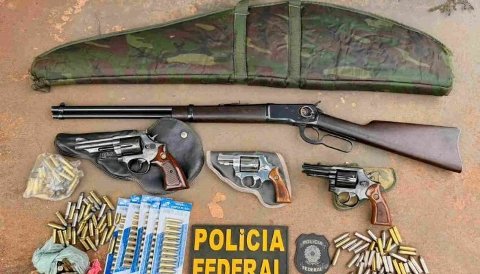 Armas e documentos foram apreendidos. (Divulgação, PF) — Foto: Armas e documento