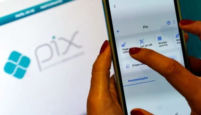 Pix — Foto: Pix | Bruno Peres/Agência Brasil