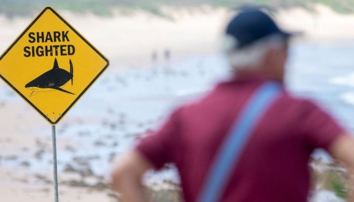 Praias de Sydney fechadas após ataques de tubarão — Foto: Placas de aviso foram