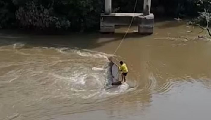 Rio-Taquari_Carreta_Canal-Fala-Povo