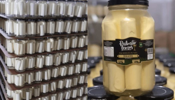 Foto: Potes de Palmito em conserva da marca Palmito Lemos | Reprodução