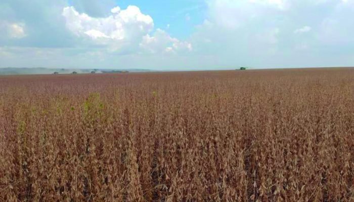 Foto: Foto: Reprodução