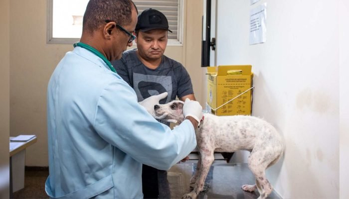 Atendimento na Subea vai até os bairros. — Foto: Atendimento na Subea vai até os