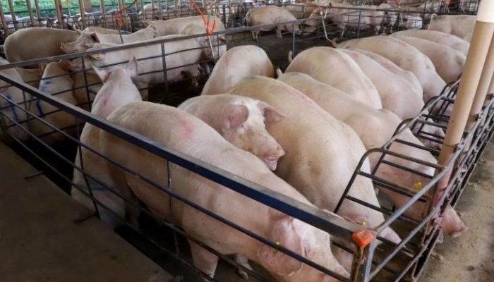 Feature image — Foto: Feature image