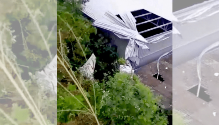 Piloto precisou fazer um pouso forçado — Foto: Piloto precisou fazer um pouso fo