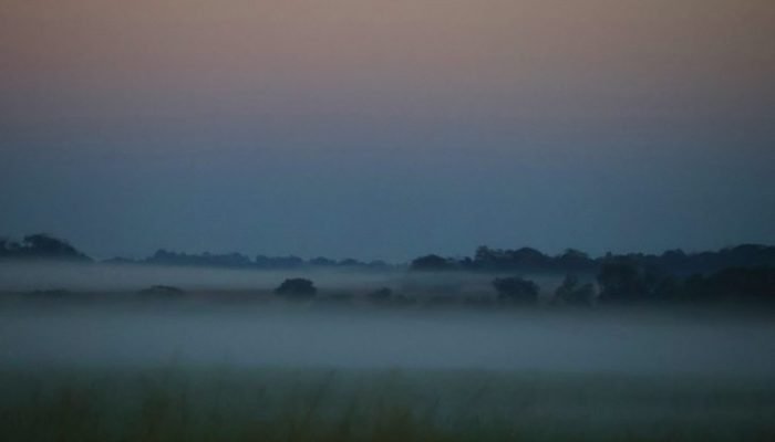 Tempo-frio-neblina-Foto-Alvaro-Rezende1-730x480-1