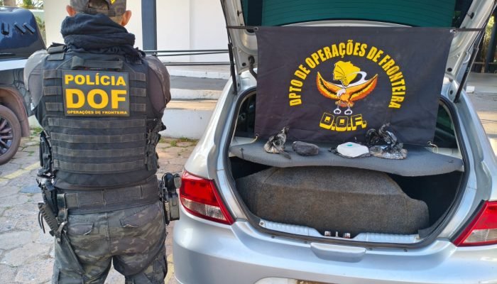 Em Corumbá, DOF apreende 1 kg de cocaína na BR-262