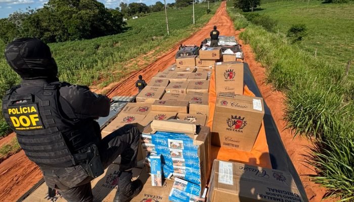 DOF Apreende Cargas Milionárias de Cigarros e Agrotóxicos em Mundo Novo