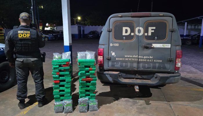 DOF apreende maconha e skunk abandonados às margens de rodovia em Amambai