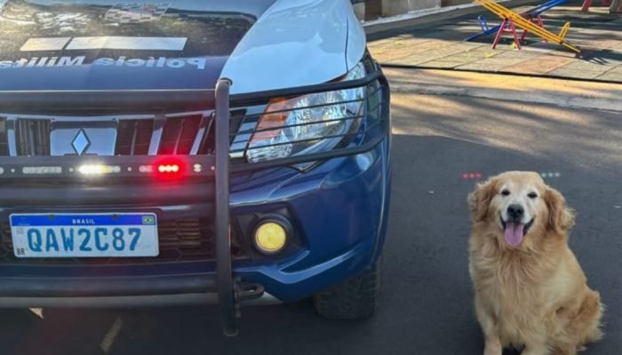 Equipe Canil do 4° BPM cumpre mandado de prisão em Ponta Porã