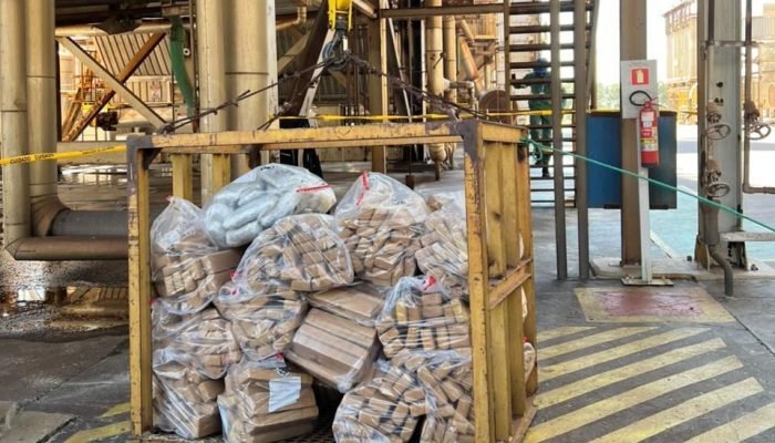 Polícia Civil incinera mais de uma tonelada de drogas em Ivinhema