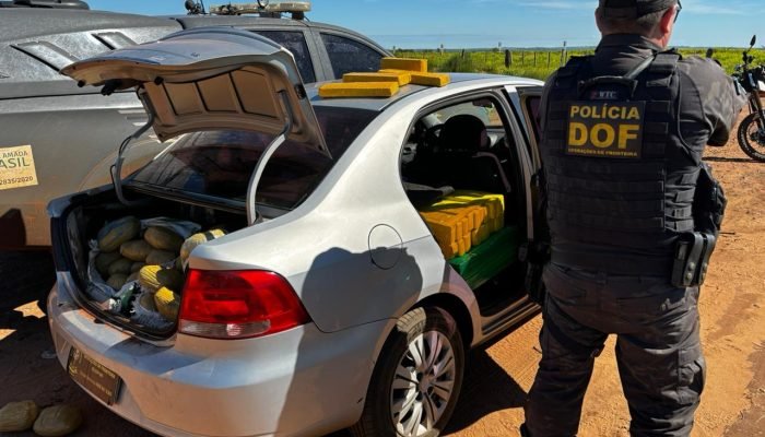 DOF apreende 556 kg de maconha e 22 kg de skunk em carro roubado no Paraná