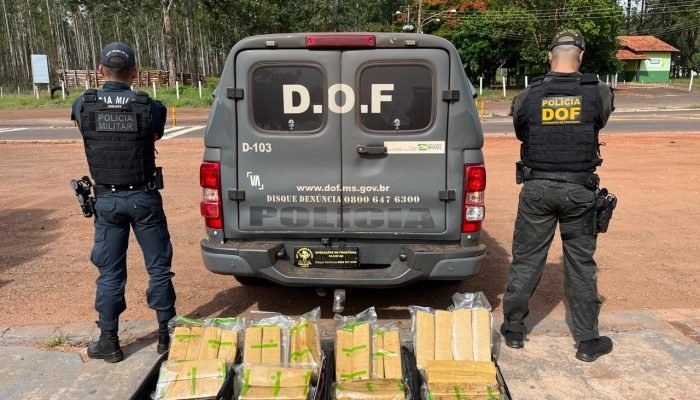 DOF apreende 33,8 kg de maconha que seria levada a Maracaju