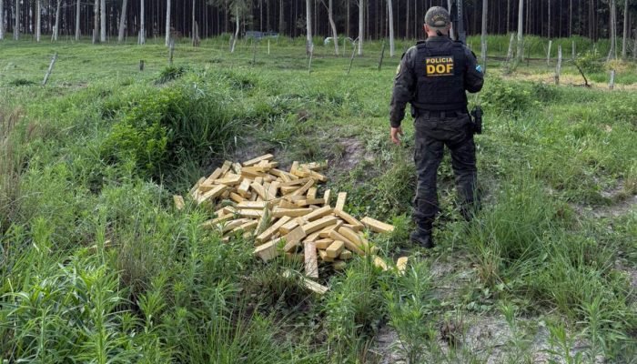 DOF apreende 320 quilos de maconha em veículo roubado atolado em Ponta Porã