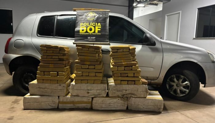 Policiais militares do DOF prenderam um homem com 267 quilos de maconha — Foto: