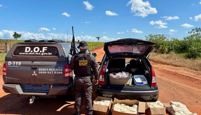 DOF Apreende Carro com Agrotóxicos