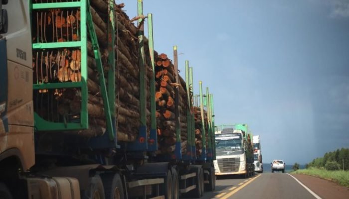 Governo de MS firma concessão da Rota da Celulose que garante segurança viária e inovações