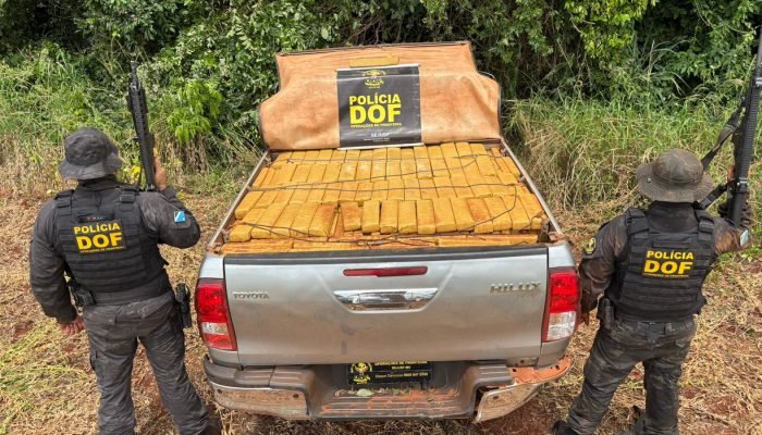 Logo do helicóptero Harpia em operação de fronteira. — Foto: Logo