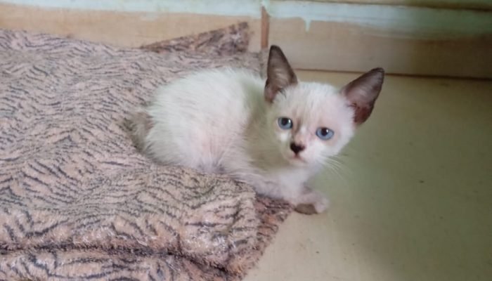 WhatsApp-Image-2026-03-05-at-11.12.25-1