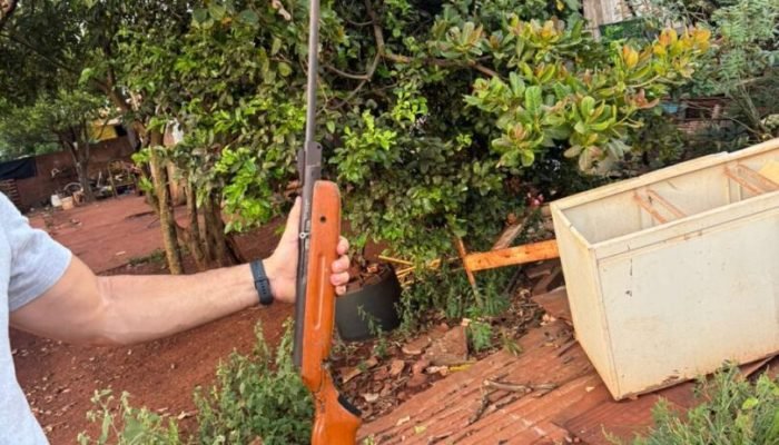 Armamento foi encontrado escondido no quintal da casa — Foto: Armamento foi enco