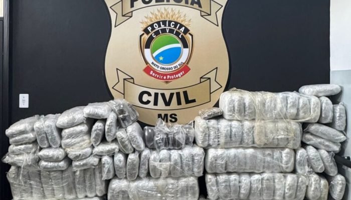 Droga apreendida — Foto: Droga apreendida - Foto: Polícia Civil