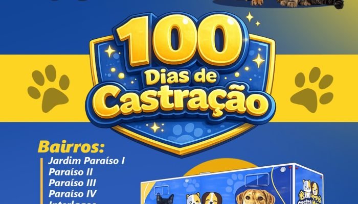 WhatsApp Image 2026-03-11 at 15.37.39