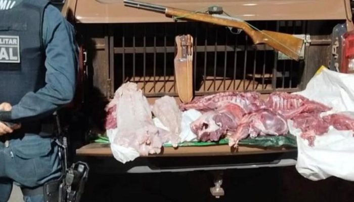 Foto: Carne ilegal apreendida - Foto: Polícia Militar Rural