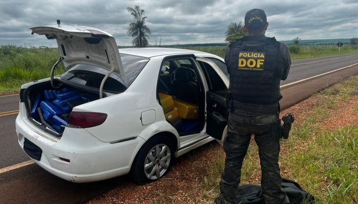 Foto: Apreensão de 700 quilos de maconha na MS-164 - Foto: Divulgação/ DOF