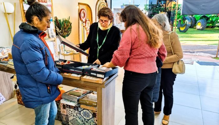 Foto: https://midiamax.com.br/cotidiano/economia/2026/dona-farofina-projeto-apoi