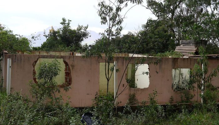 Engenheiros ligados à tragédia de Brumadinho tem registros cancelados pelo Crea-MG