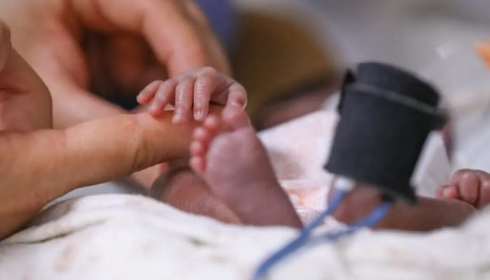 Foto: Busca Gazeta do Povo