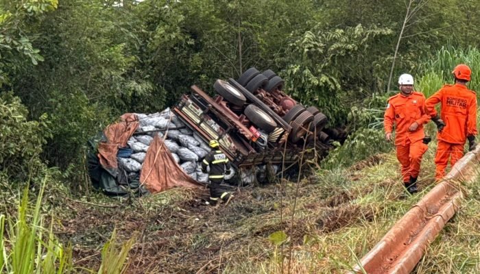 Caminhão tombou na MS-040 após motorista perder controle do veículo — Foto: Acid