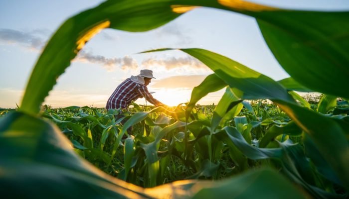 adobestock_621171608-2-2