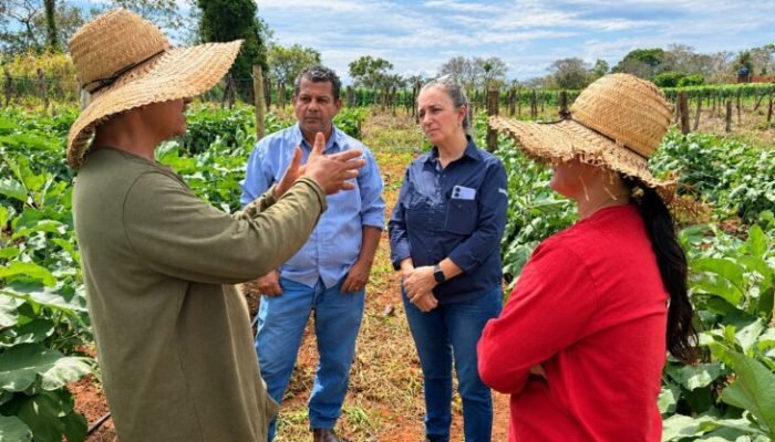 agraer_agricultores-1-730x480-1